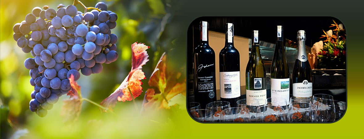 An Overview on Syrah: Shiraz, Wine Pairings, Regions, & More