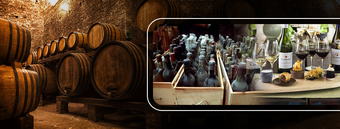 Differences between Old World and New World wine