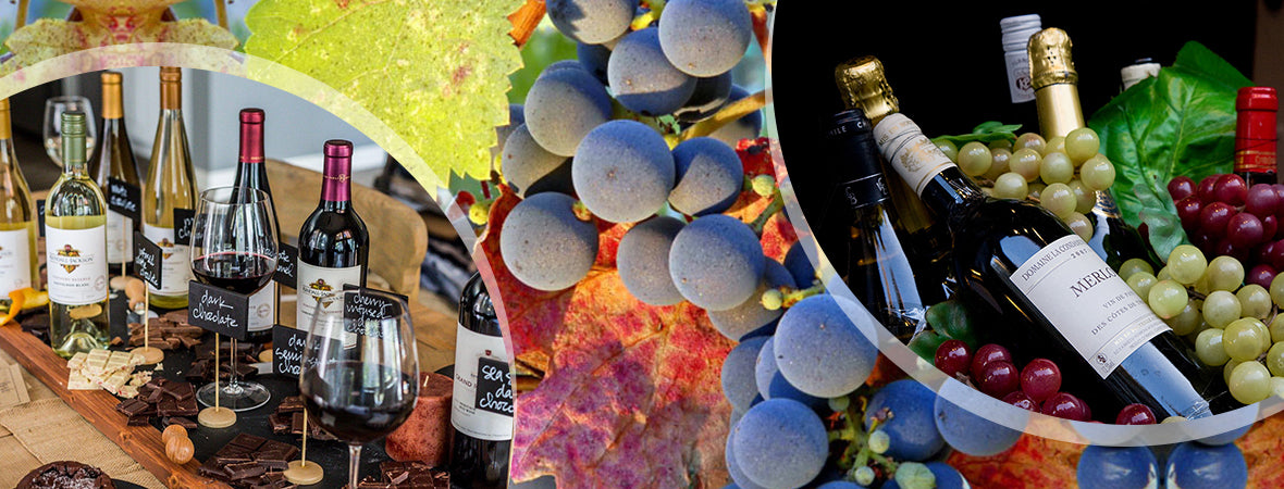 Which is Drier Cabernet Sauvignon or Merlot?