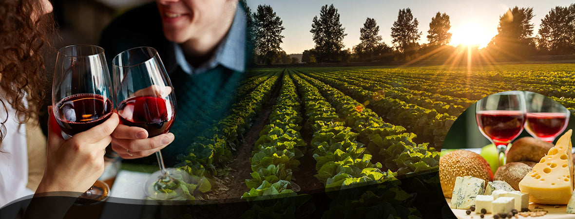 Biodynamic Farming and How it Benefits Wine