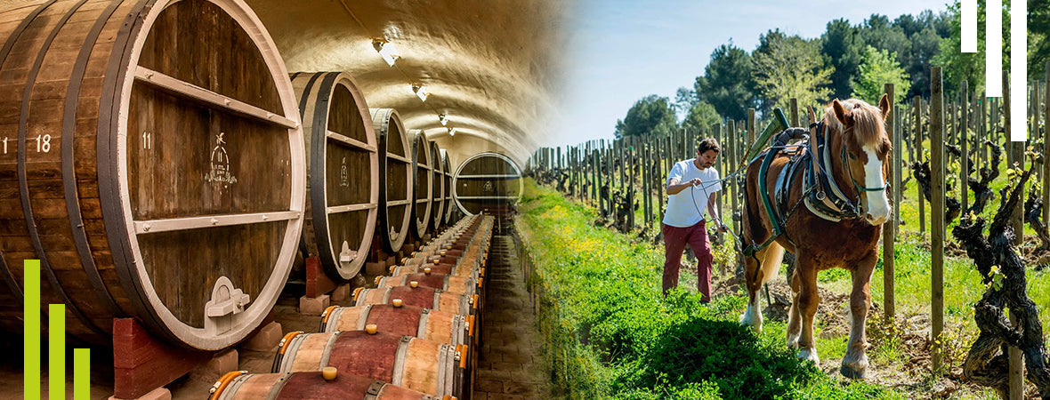 Biodynamic wines the latest phase of the organic revolution