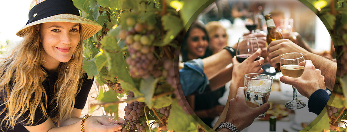 Famous Wineries owned by Famous people