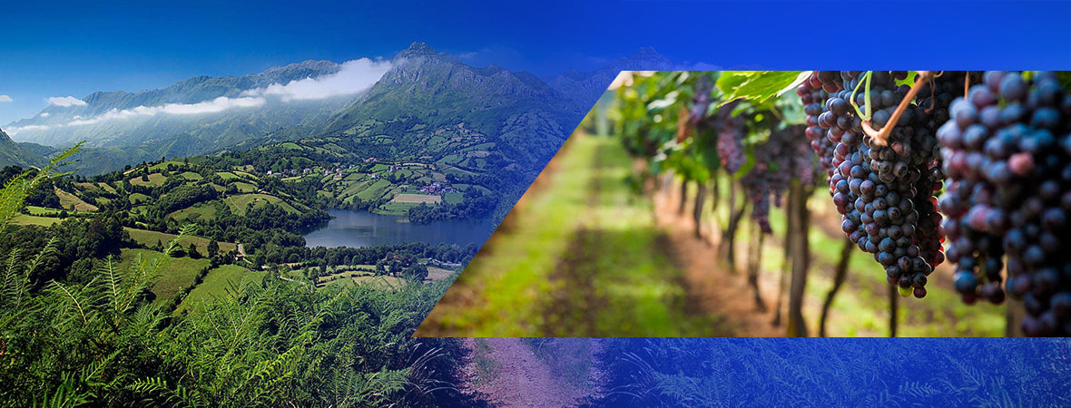 Green Spain- Galicia (Wine Region of Spain)