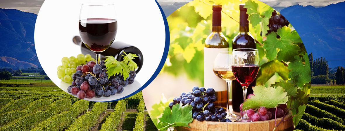 Organic Wine: Is it Healthier?