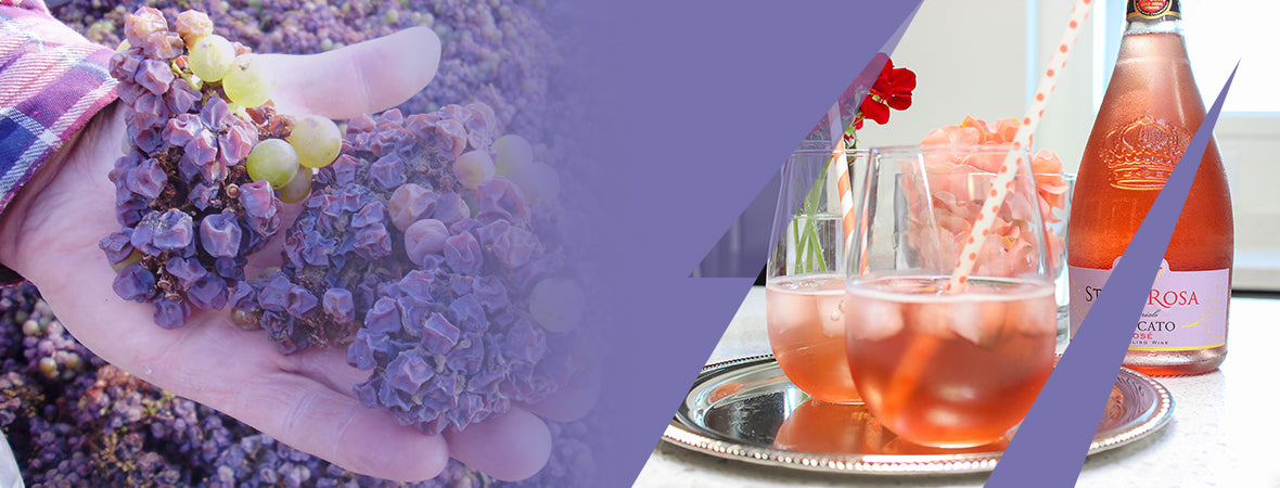 Production of sweet wine