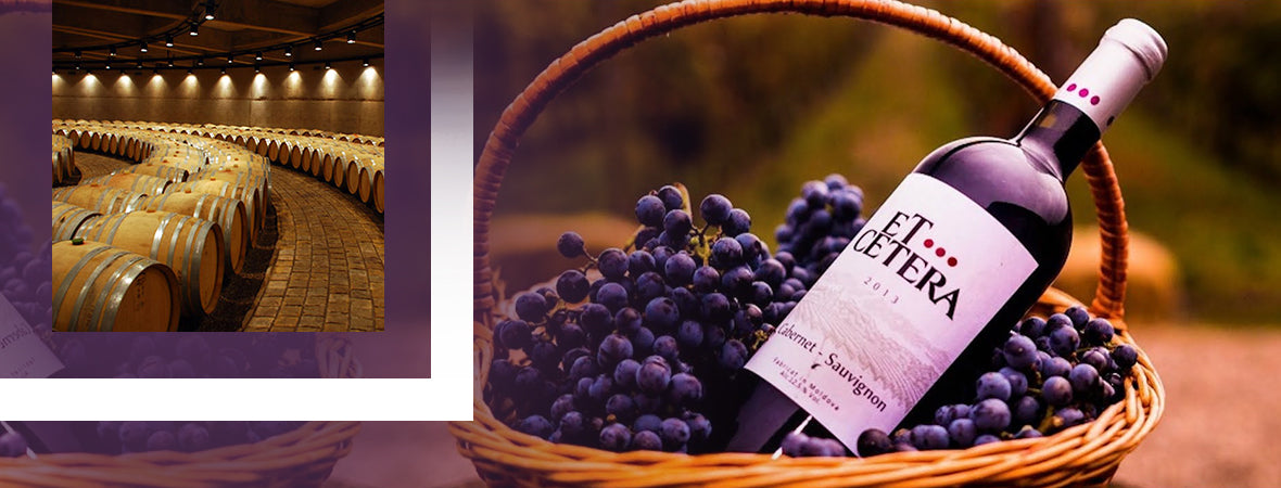 The Noble Grapes and the Wines They Make