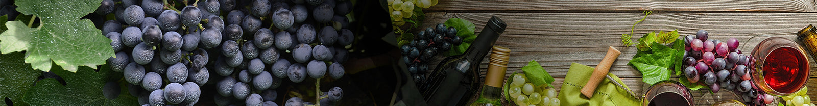 Cabernet Sauvignon New York