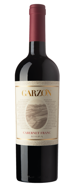 Bodega Garzon Cabernet Franc Reserva