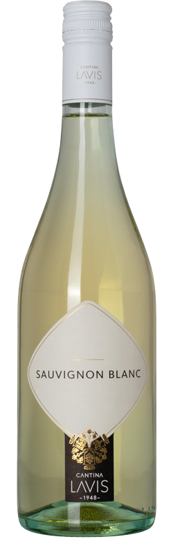 Cantina Lavis Trentino Sauvignon Blanc